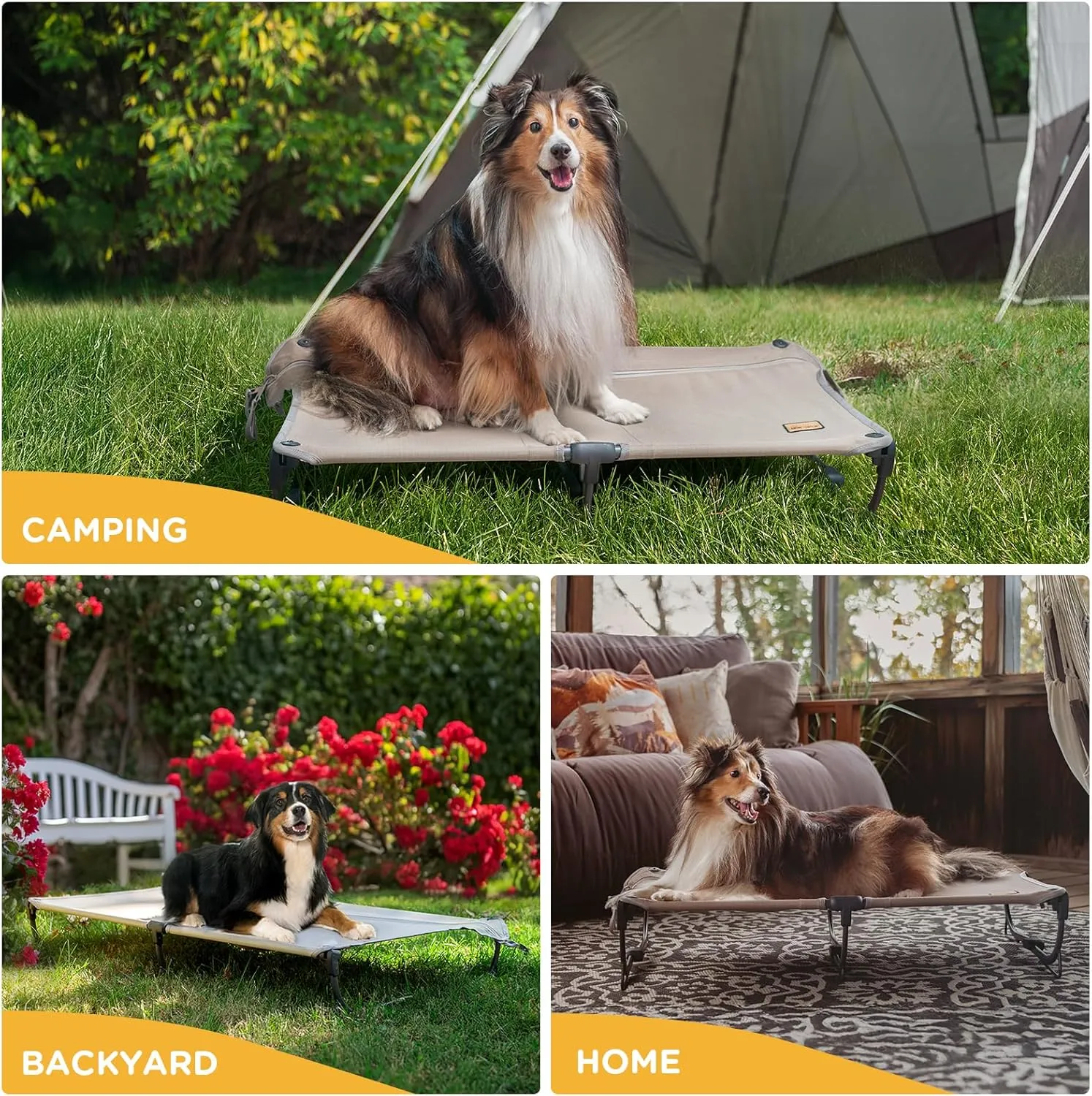 Daisy Cot, Medium Foldable Elevated Dog Bed, Portable Raised Outdoor Folding Dog Cot, Cooling, Chew Proof, Waterproof, Heavy Duty Up to 160 lbs for Camping/Home, Tan, 32"x 19"x6"