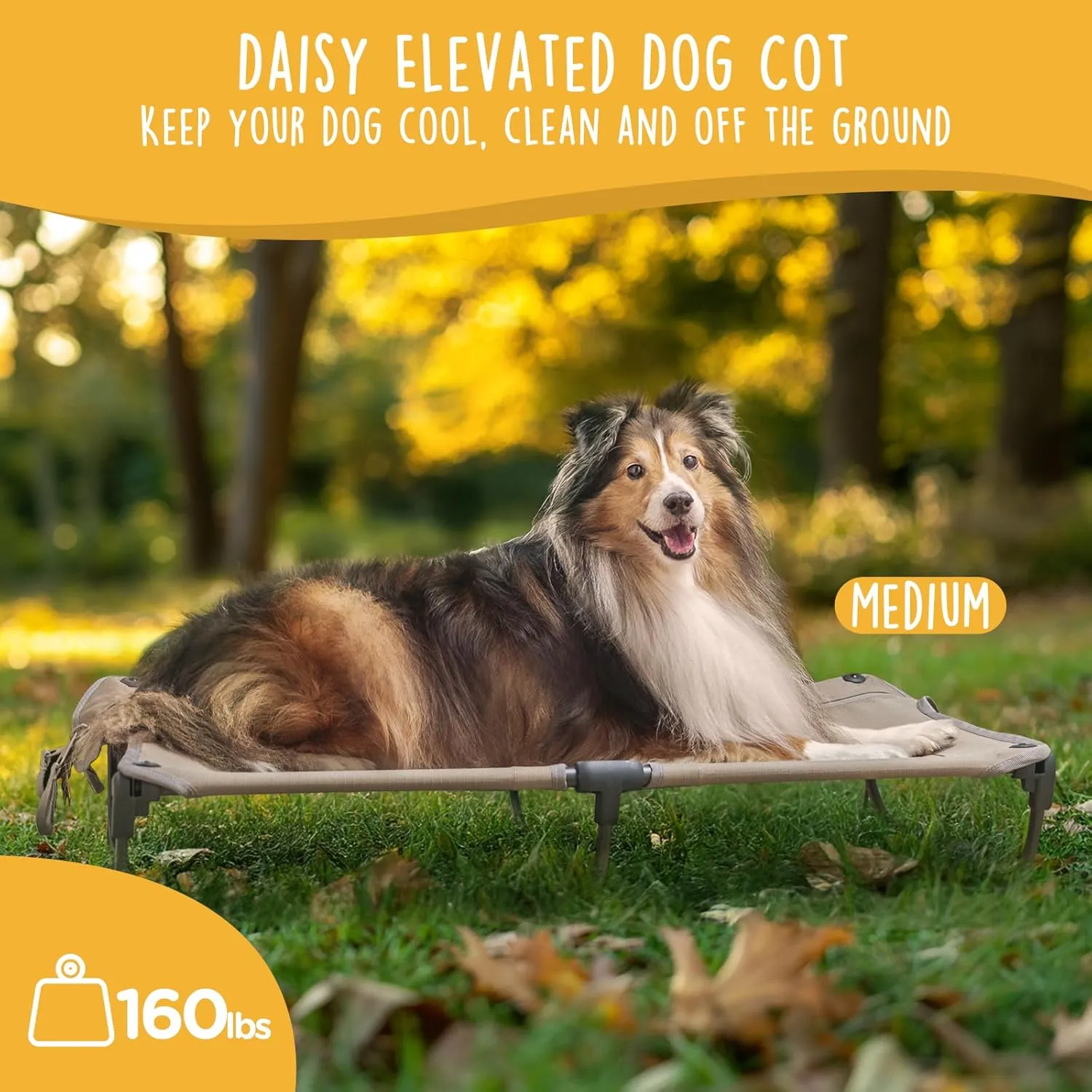 Daisy Cot, Medium Foldable Elevated Dog Bed, Portable Raised Outdoor Folding Dog Cot, Cooling, Chew Proof, Waterproof, Heavy Duty Up to 160 lbs for Camping/Home, Tan, 32"x 19"x6"