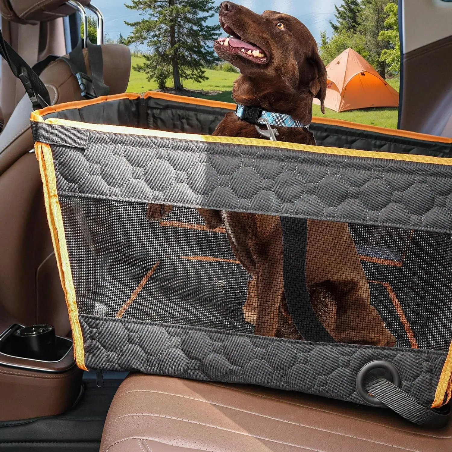 Dog Car Seat for Large Medium Dogs, Dog Car Seat Cover for Back Seat, Foldable Pet CarSeat with Safety Belt, Waterproof Fabric & Breathable Mesh, Back Seat Cover for Dogs Under 40lbs (Large, Orange)