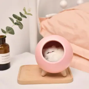 Dream Cat Night Lamp Desk Light USB Rechargable Battery Gift Bedroom Room Decorate (Pink)