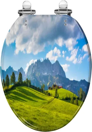 Elongated Toilet Seat Idyllic alpine scenery farmhouse front Wilder Kaiser Austria Tirol Resin Toilet Seat Slow Quiet Close with Quick-Release Hinges Toilet Seat with Cover Easy to Clean Install