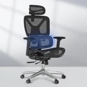 FLEXISPOT Premium Ergonomic Office Chair - Adjustable 3D Armrests, Dynamic Lumbar Support, Recline & Tilt Function, Mesh Seat, for Home & Office Use, OC4-SD Black