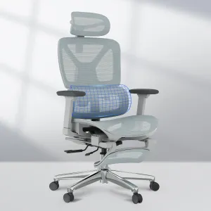 FLEXISPOT Premium Ergonomic Office Chair with Footrest- Adjustable 3D Armrests, Dynamic Lumbar Support, Recline & Tilt Function, Mesh Seat, for Home & Office Use, OC4-SD Blue