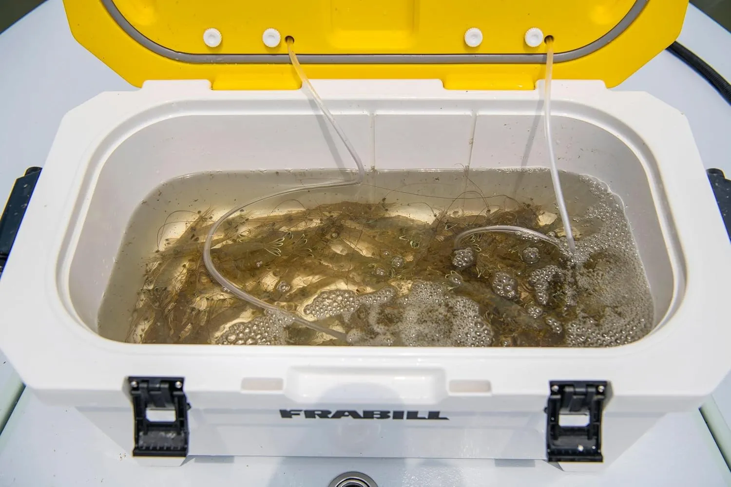Frabill Magnum Bait Station 30 | 30 Quart Bait Cooler with Dual Aeration, White and Yellow