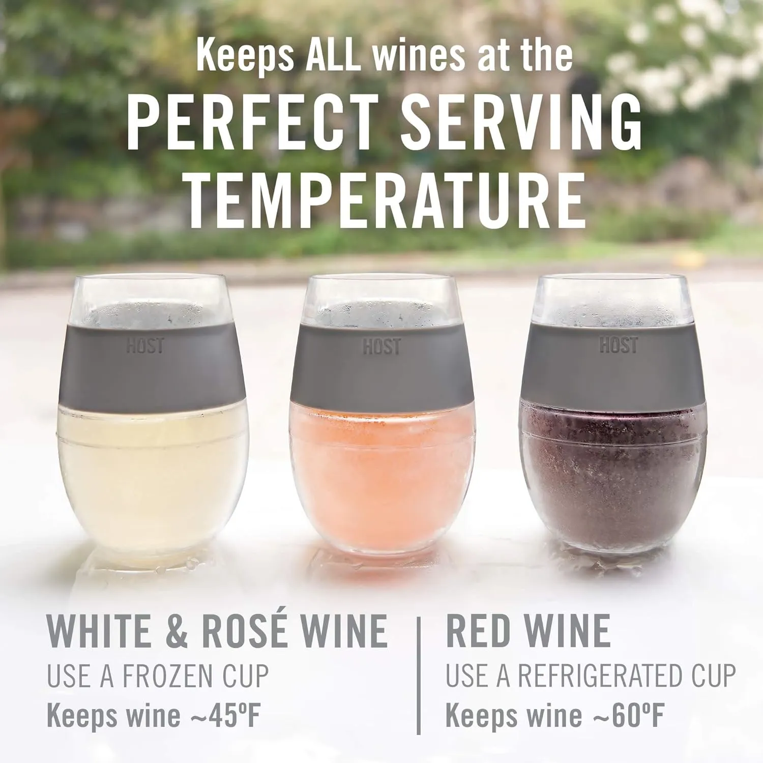 Host Wine Freeze Cup Set of 2 - Plastic Double Wall Insulated Drink Cup, Freezable Vacuum Insulated Wine Glasses, 8.5 oz Blue