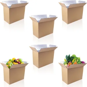 Insulated Shipping Boxes for Shipping Frozen Food-11" x 6.1" x 7.87" (6 Pack),Large Foil Cooler Carton Moving Kits for Mailing Packing,Reusable Cold Shipping Box with Insulation