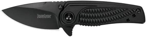 Kershaw Spoke Pocket Knife, 2" 4Cr14 Steel Blade with BlackWash Coatin, Compact Assisted-Opening EDC