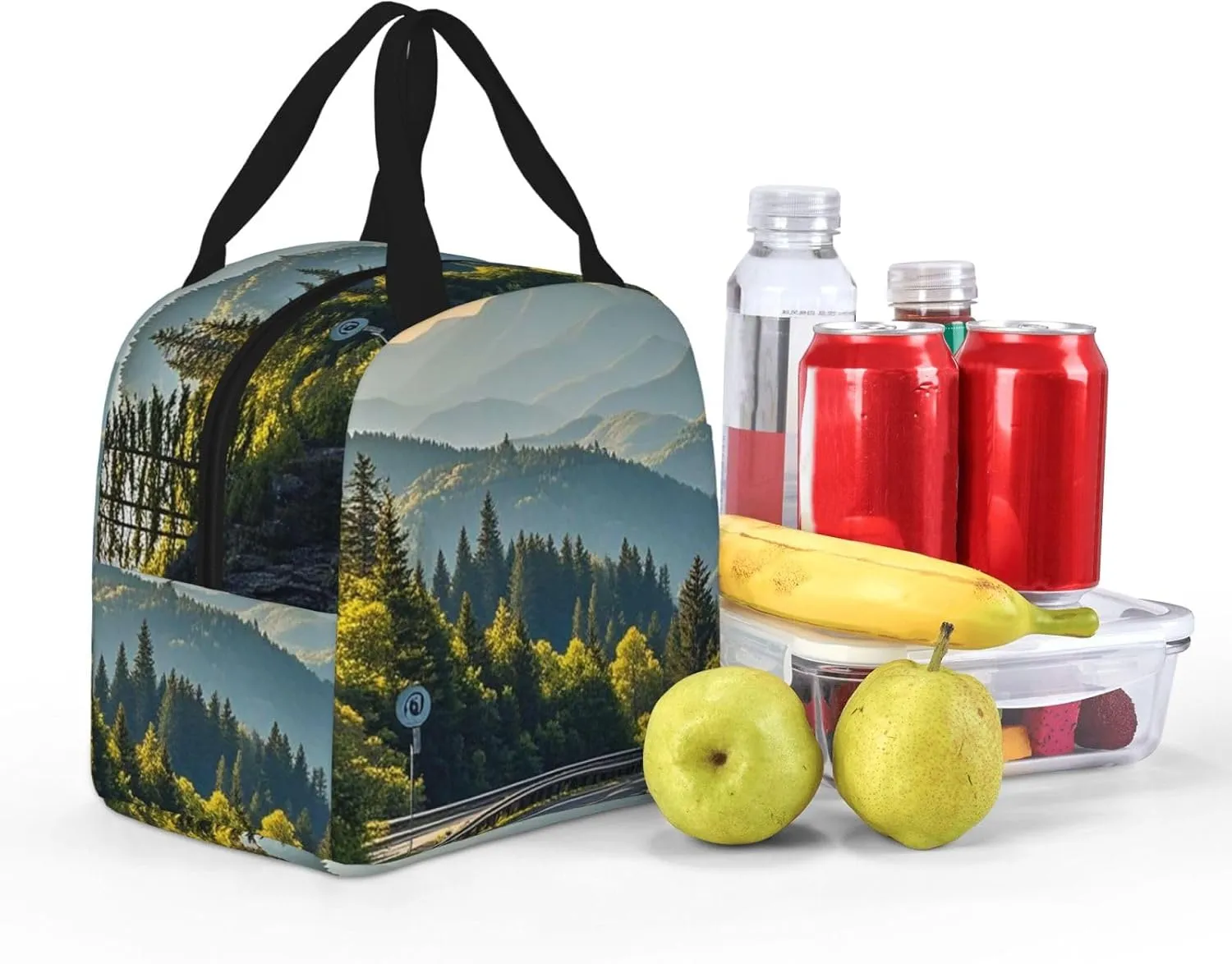 Lunch Bag Insulated Lunch Box for Women Men Blue Ridge Parkway Mountains Reusable Lunch Tote Bag for Work Picnic Travel